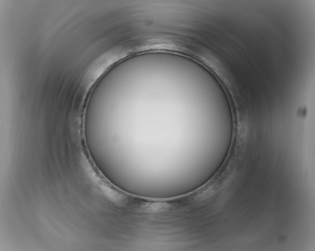 X0000111161282200906301352