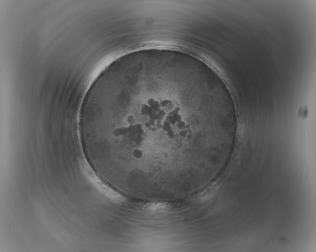 X0000111161283200906301352