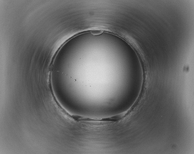 X0000111161284200906301352