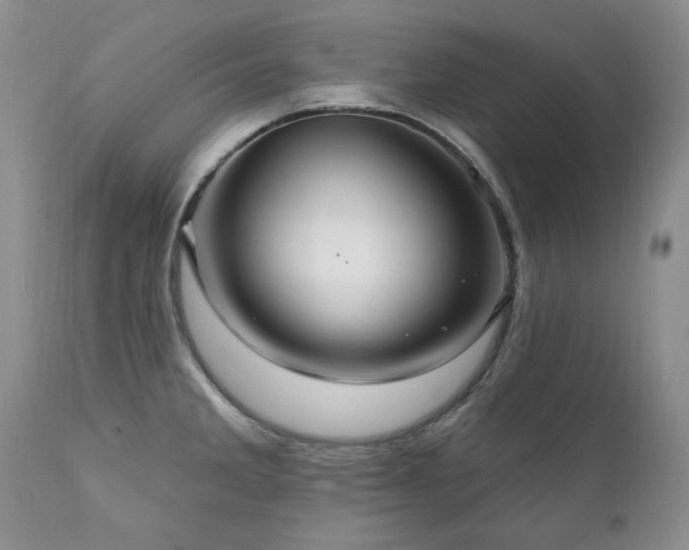 X0000111161285200906301352
