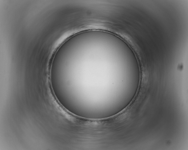 X0000111161286200906301352