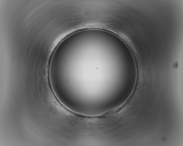 X0000111161288200906301352