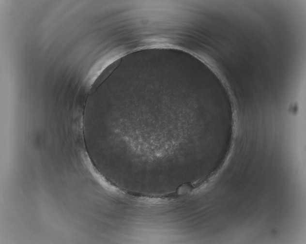X0000111161289200906301352