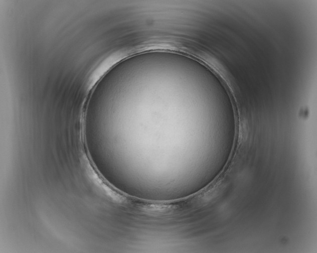 X0000111161290200906301352