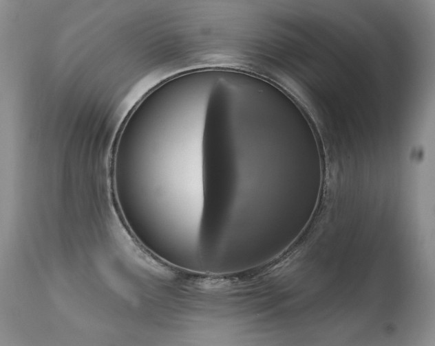 X0000111161291200906301352