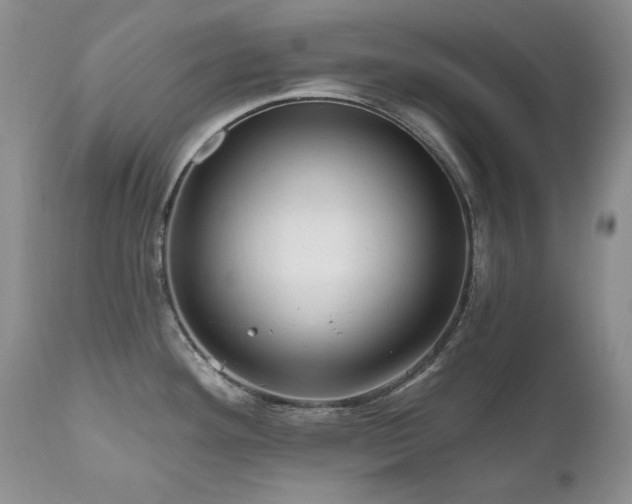 X0000111161292200906301352