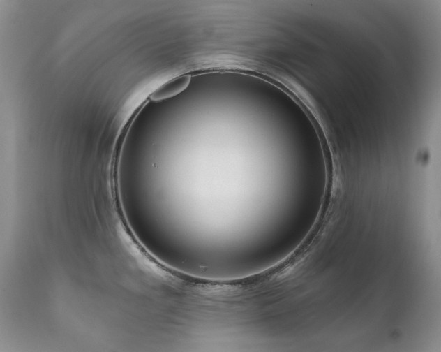 X0000111161293200906301352