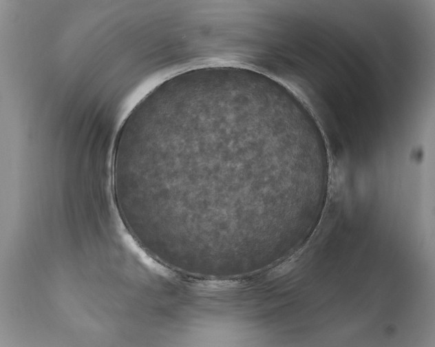 X0000111161294200906301352