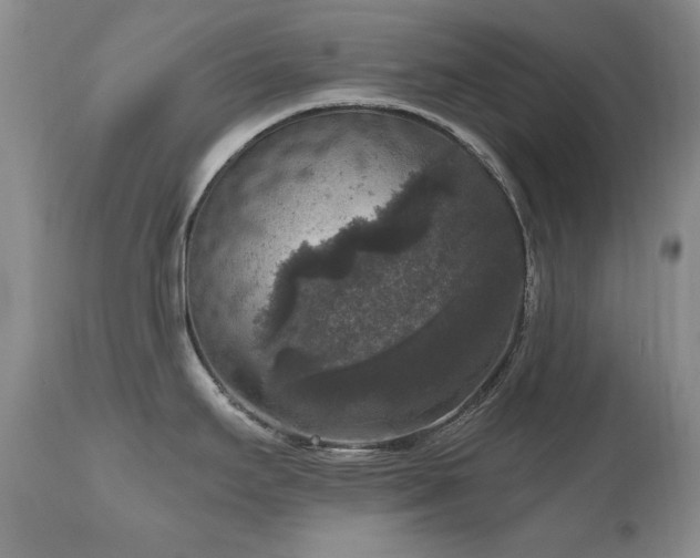 X0000111161295200906301352