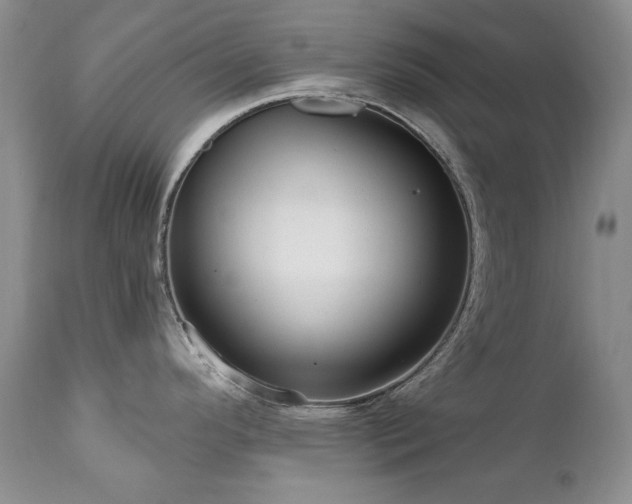 X0000111161296200906301352