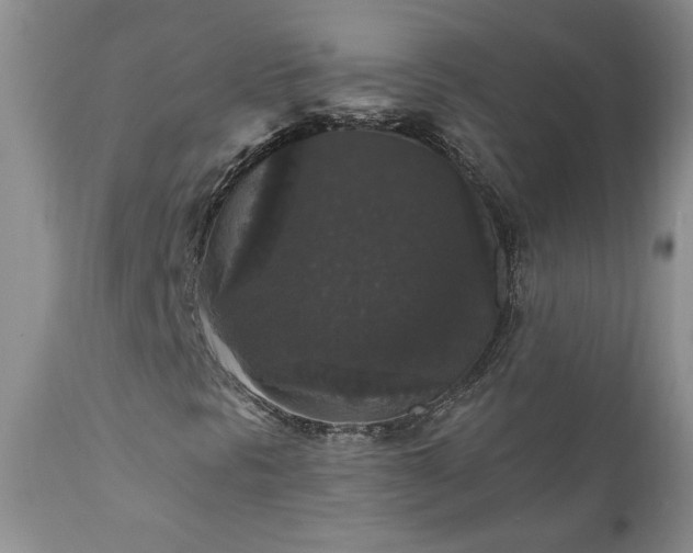 X0000111161297200906301351