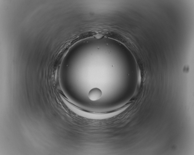 X0000111161298200906301351
