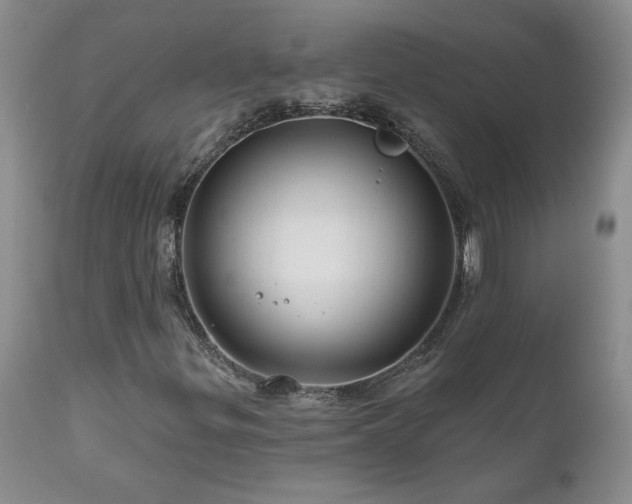 X0000111161299200906301351