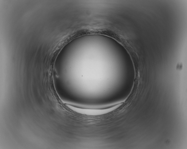 X0000111161300200906301351