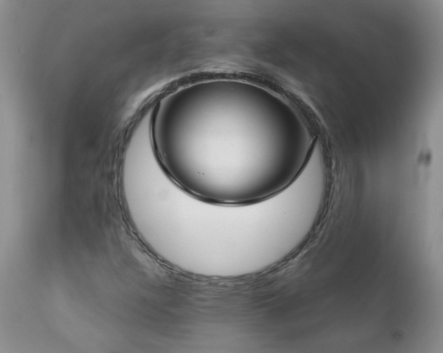 X0000111161304200906301351