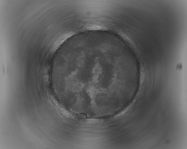 X0000111161305200906301351