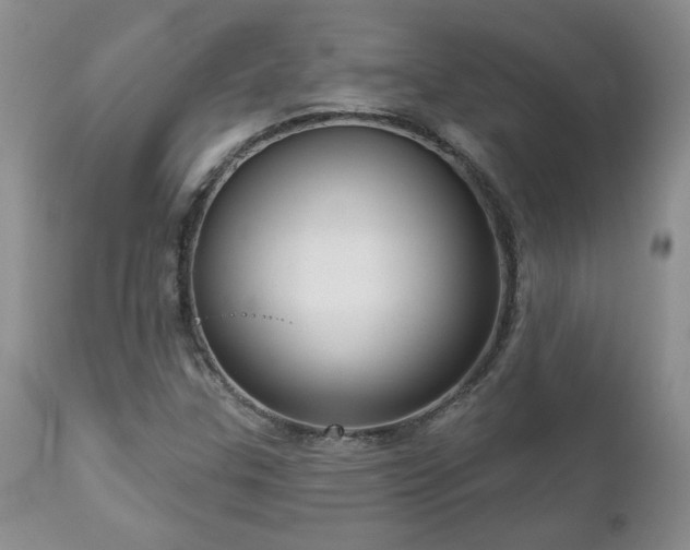 X0000111161307200906301351