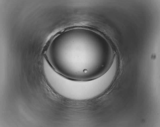 X0000111161308200906301351