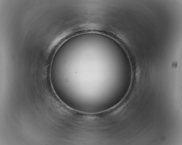 X0000111161309200906301351