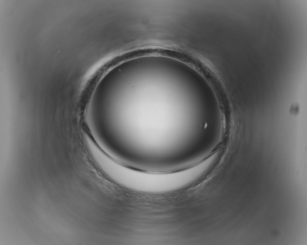 X0000111161310200906301351