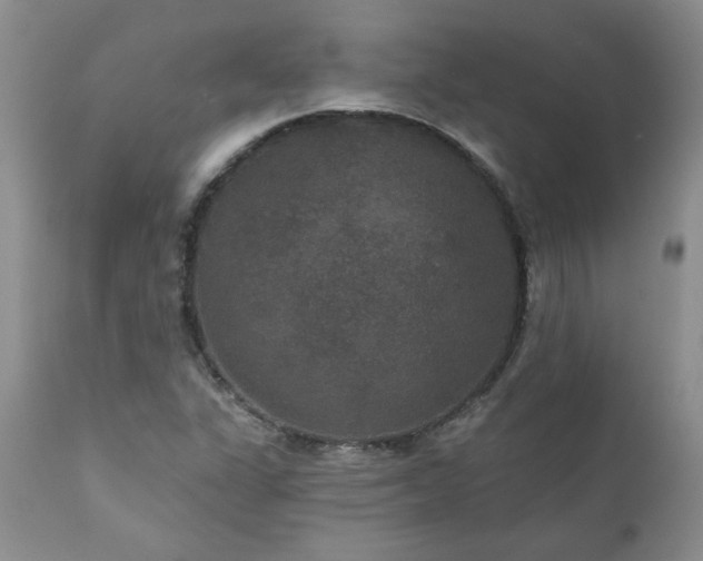X0000111161311200906301351