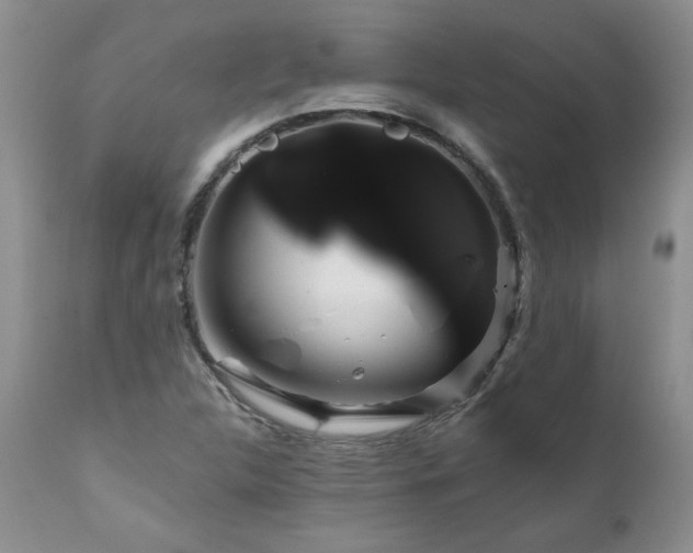 X0000111161312200906301351