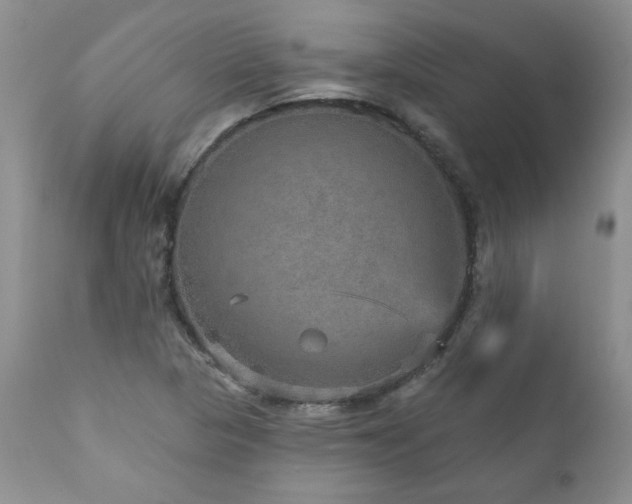 X0000111161313200906301351