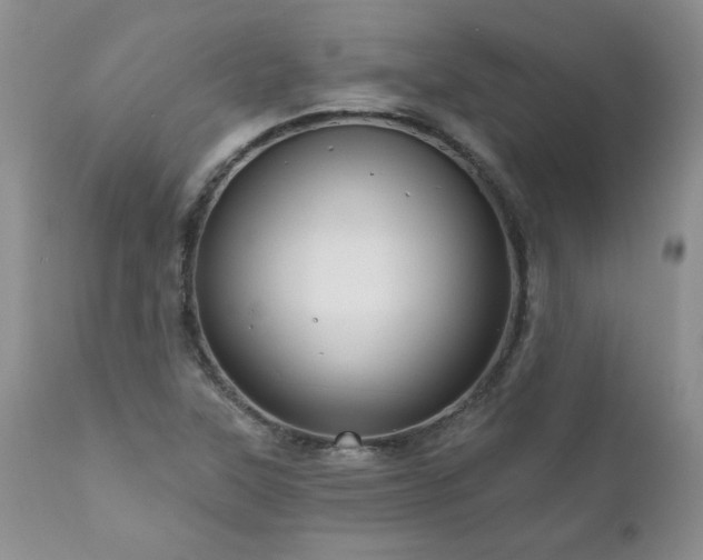 X0000111161315200906301351