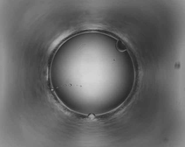 X0000111161317200906301351
