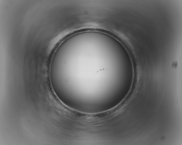 X0000111161318200906301351