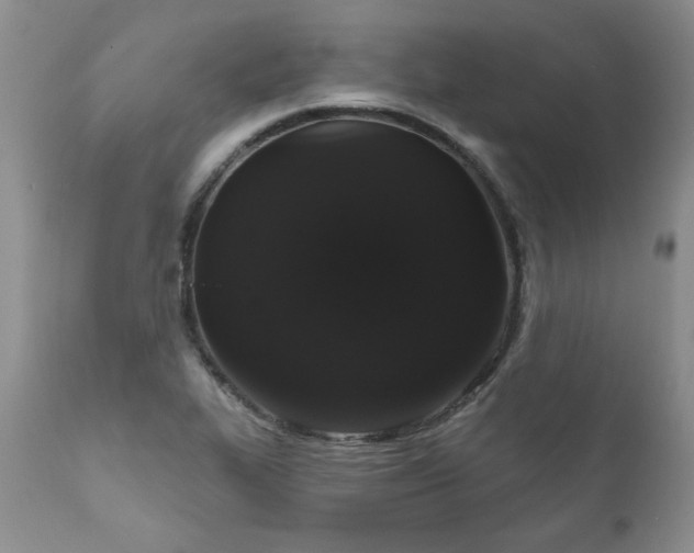 X0000111161319200906301351