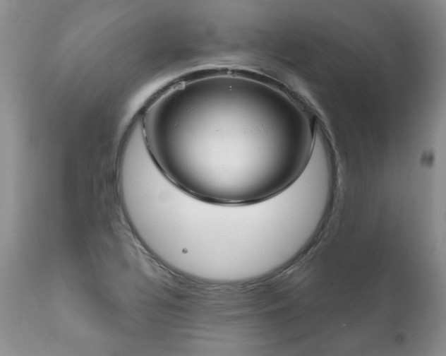 X0000111161320200906301351