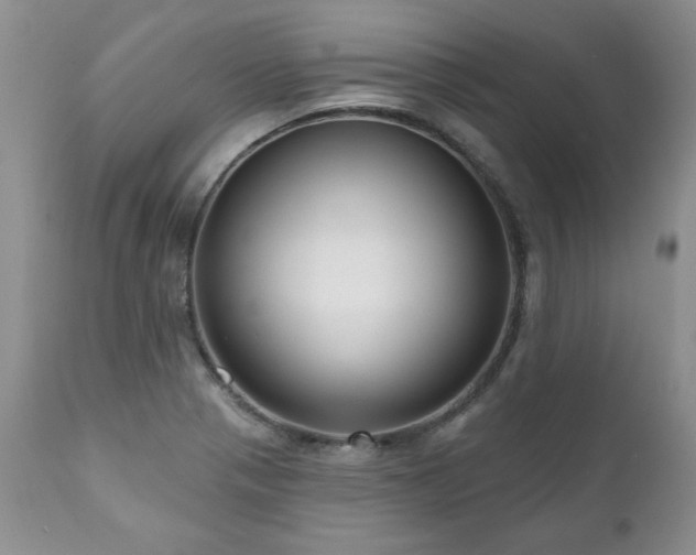 X0000111161321200906301351