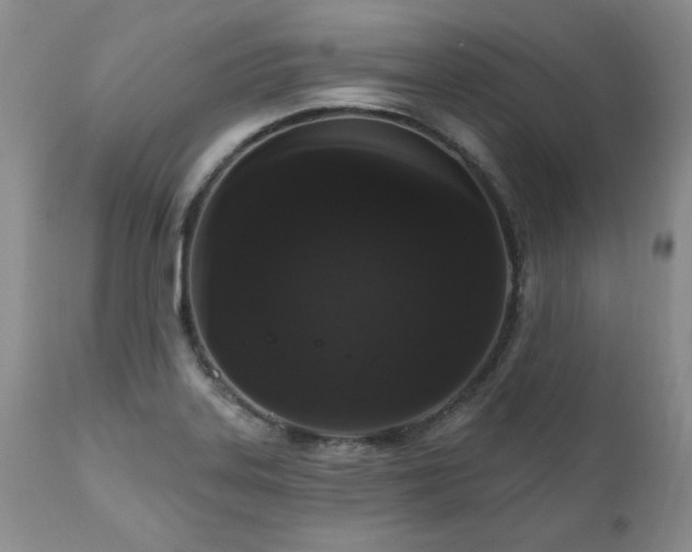 X0000111161323200906301351