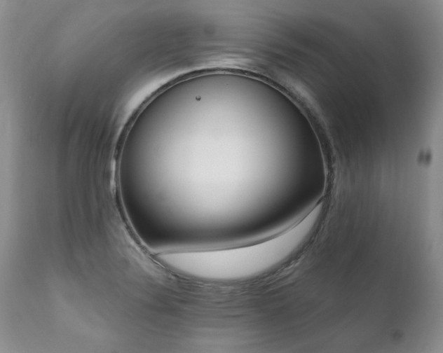X0000111161324200906301351
