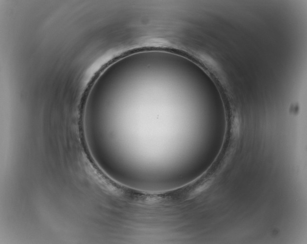 X0000111161326200906301351