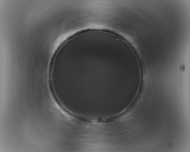 X0000111161327200906301351