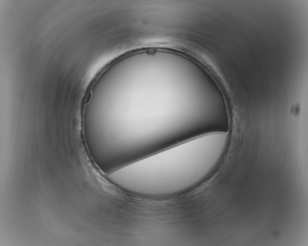 X0000111161328200906301351