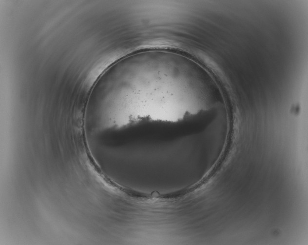 X0000111161329200906301352
