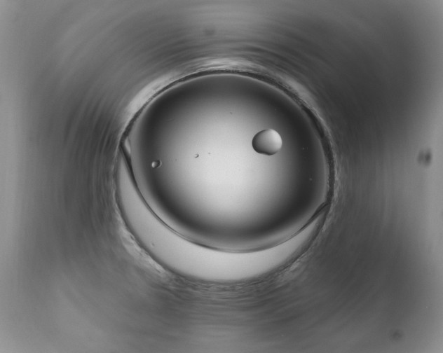 X0000111161330200906301352