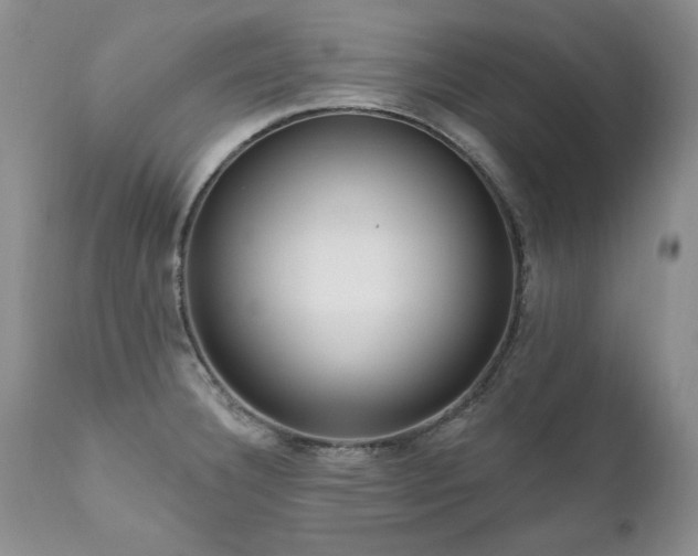 X0000111161332200906301352