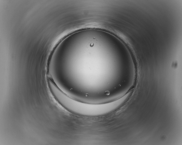 X0000111161334200906301352