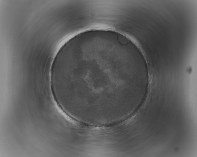 X0000111161335200906301352