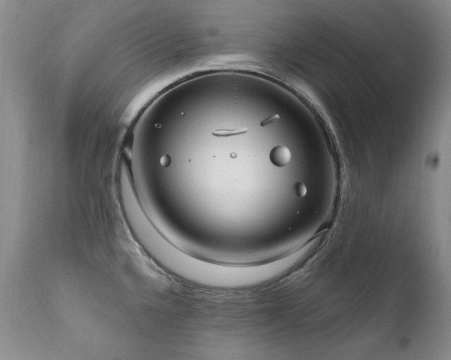 X0000111161336200906301352