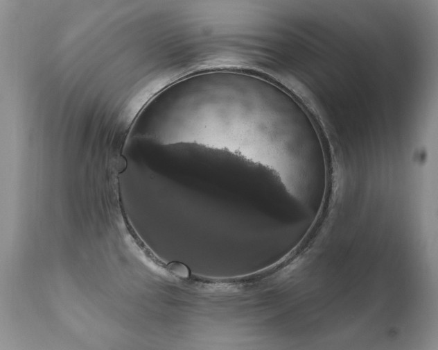 X0000111161337200906301352