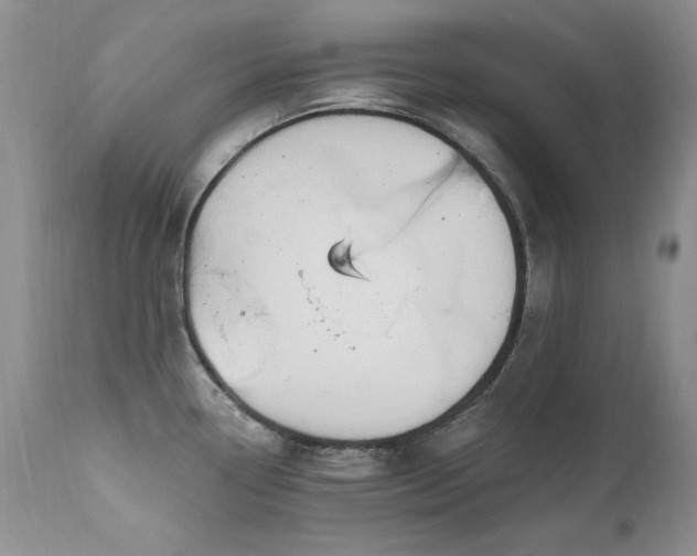 X0000111161338200906301352