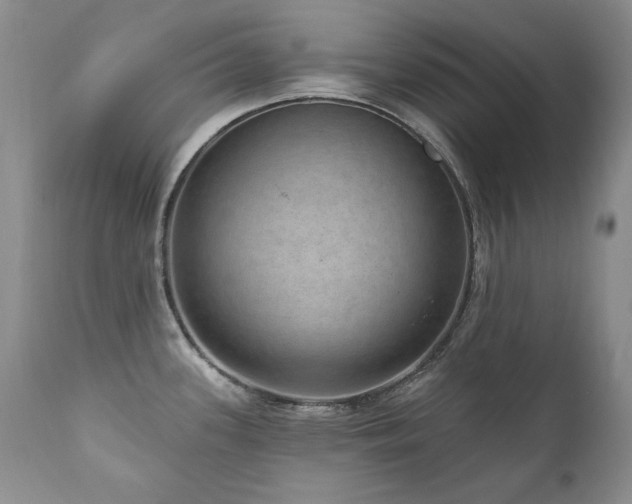 X0000111161339200906301352