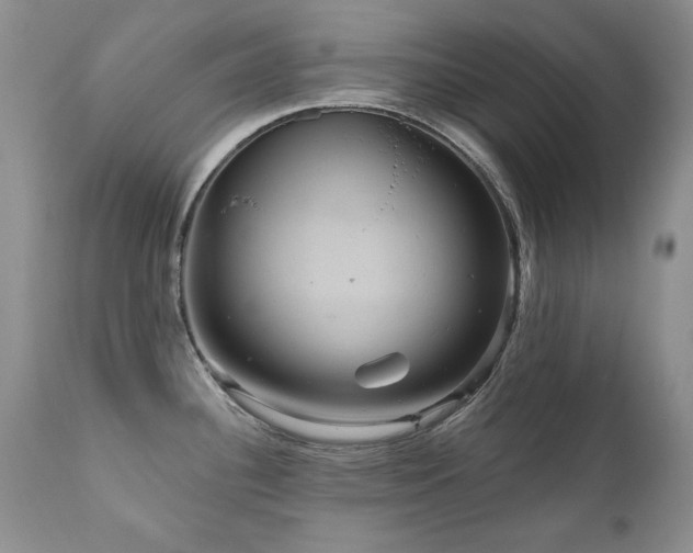 X0000111161340200906301352