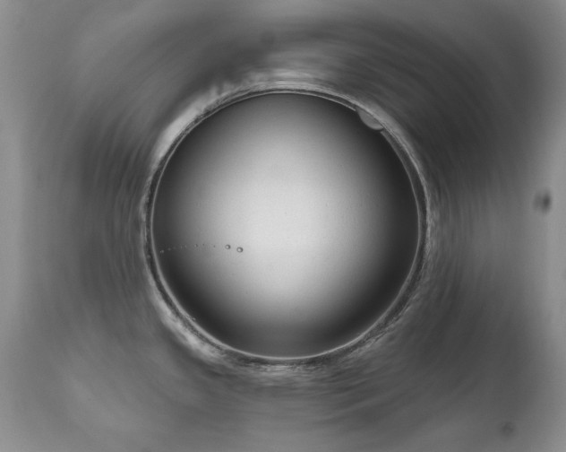 X0000111161341200906301352
