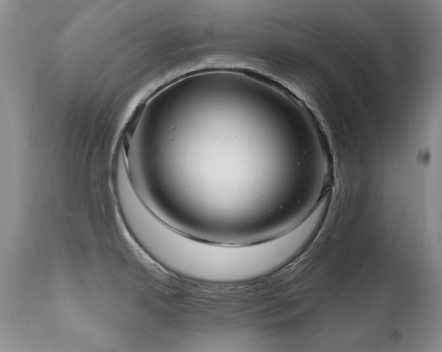 X0000111161342200906301352